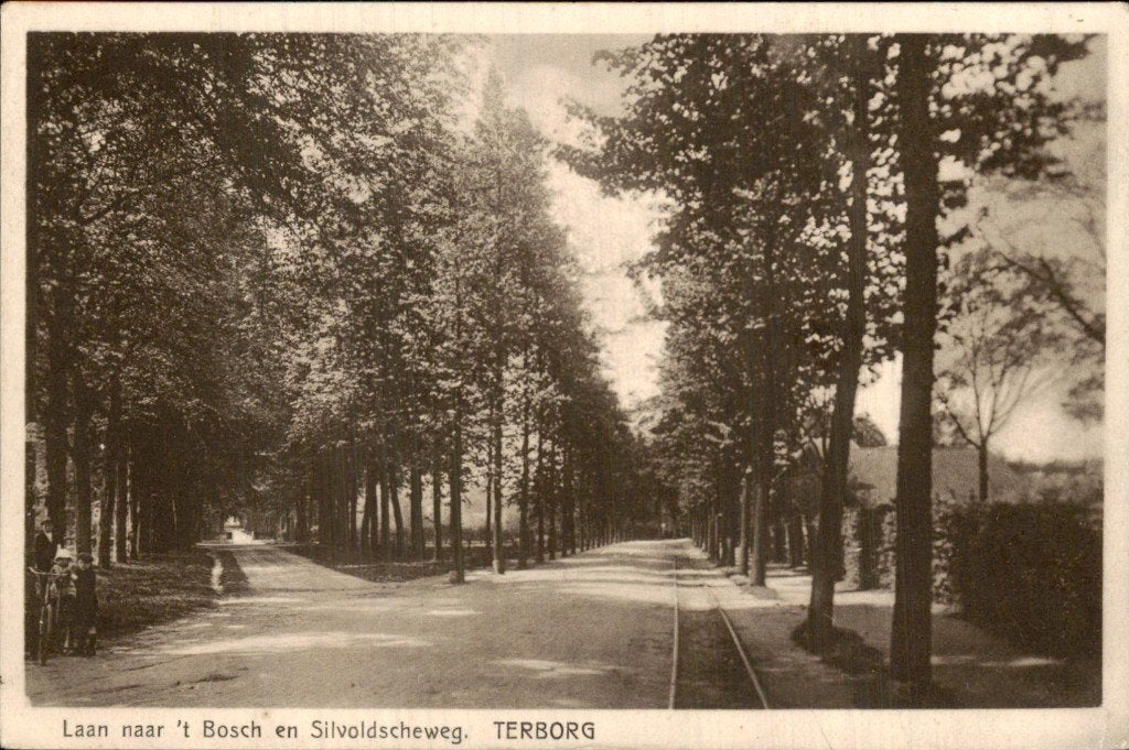 Terborg - Laan naar t Bosch - Silvoldscheweg, Ophalen of Verzenden, Voor 1920, Gelopen, Gelderland