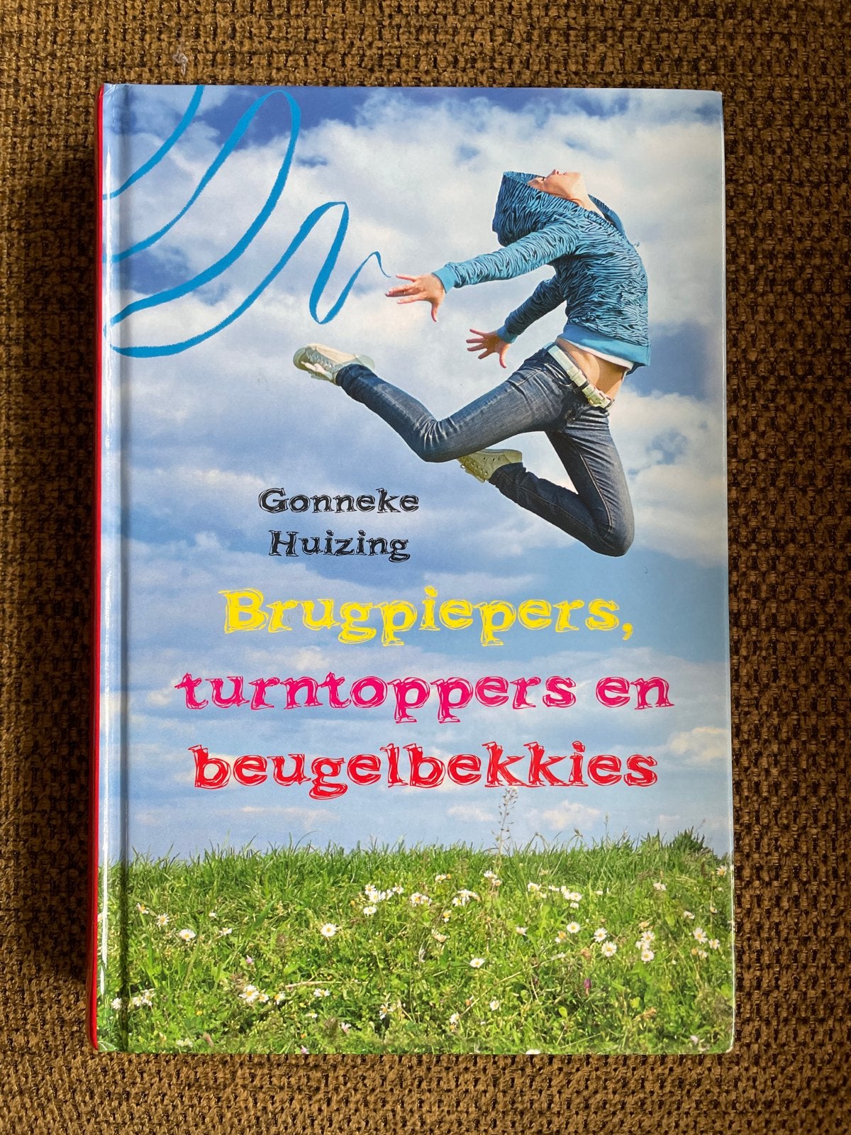 Gonneke Huizing - Brugpiepers, turntoppers en beugelbekkies, Boeken, Gelezen, Ophalen of Verzenden, Gonneke Huizing, Fictie
