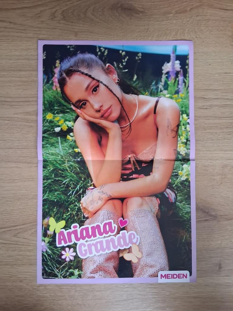 Dubbelzijdige poster Ariana Grande / Susan & Freek / Mannes, Verzamelen, Posters, Ophalen