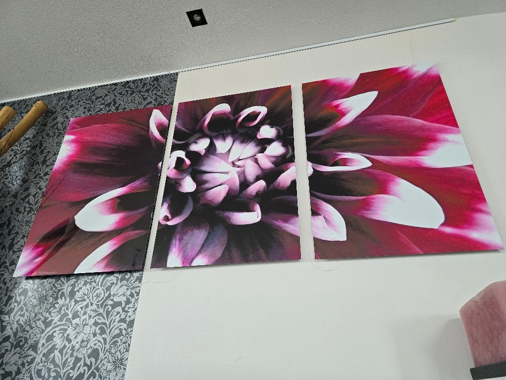 Groot kunstwerk dahliabloem magenta drieluik 120 x 240 cm, Ophalen