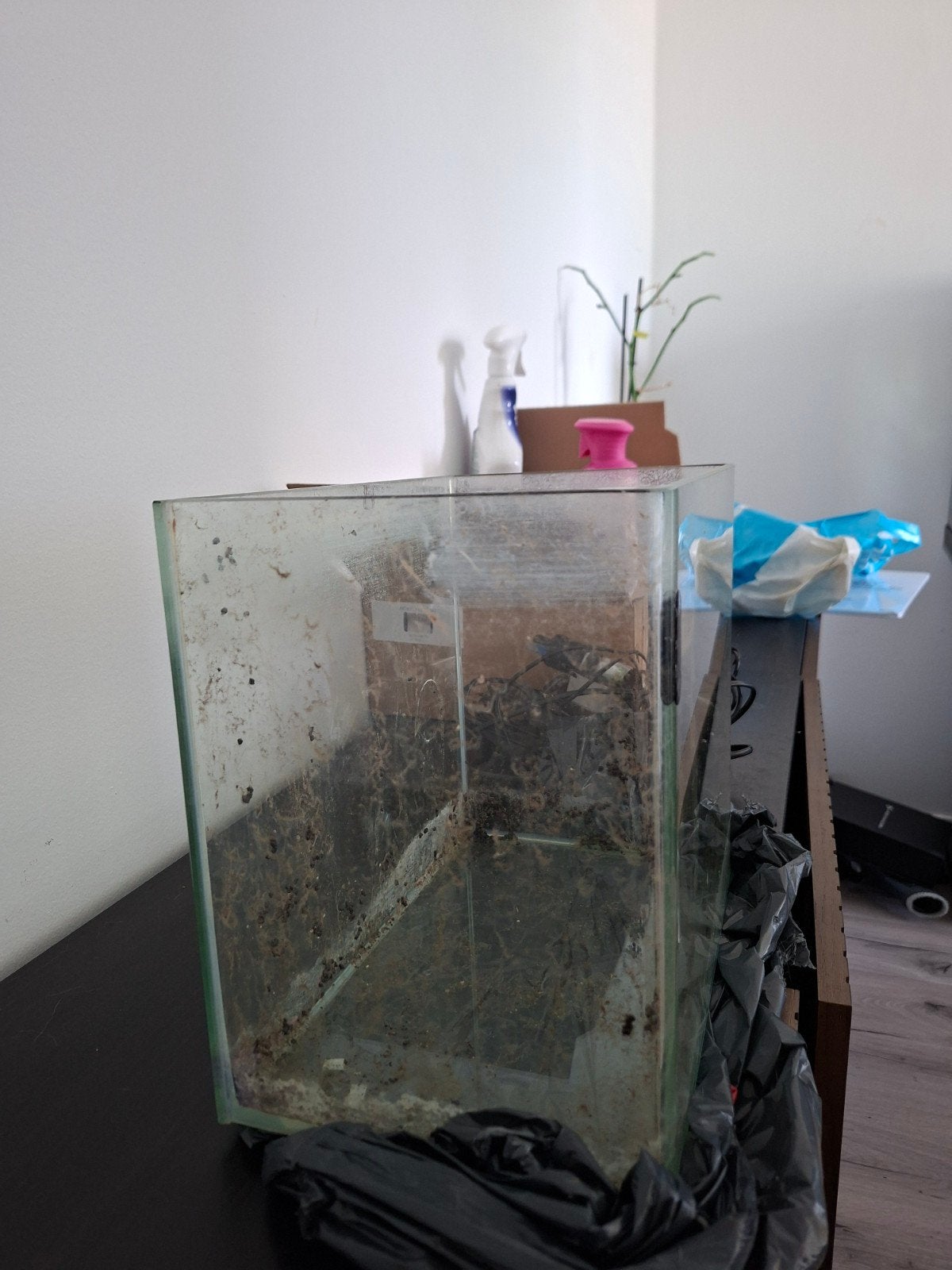 Aquarium voor o.a. kleine vissen en garnalen (aquascaping), Ophalen, Gebruikt, Overige merken, Leeg aquarium