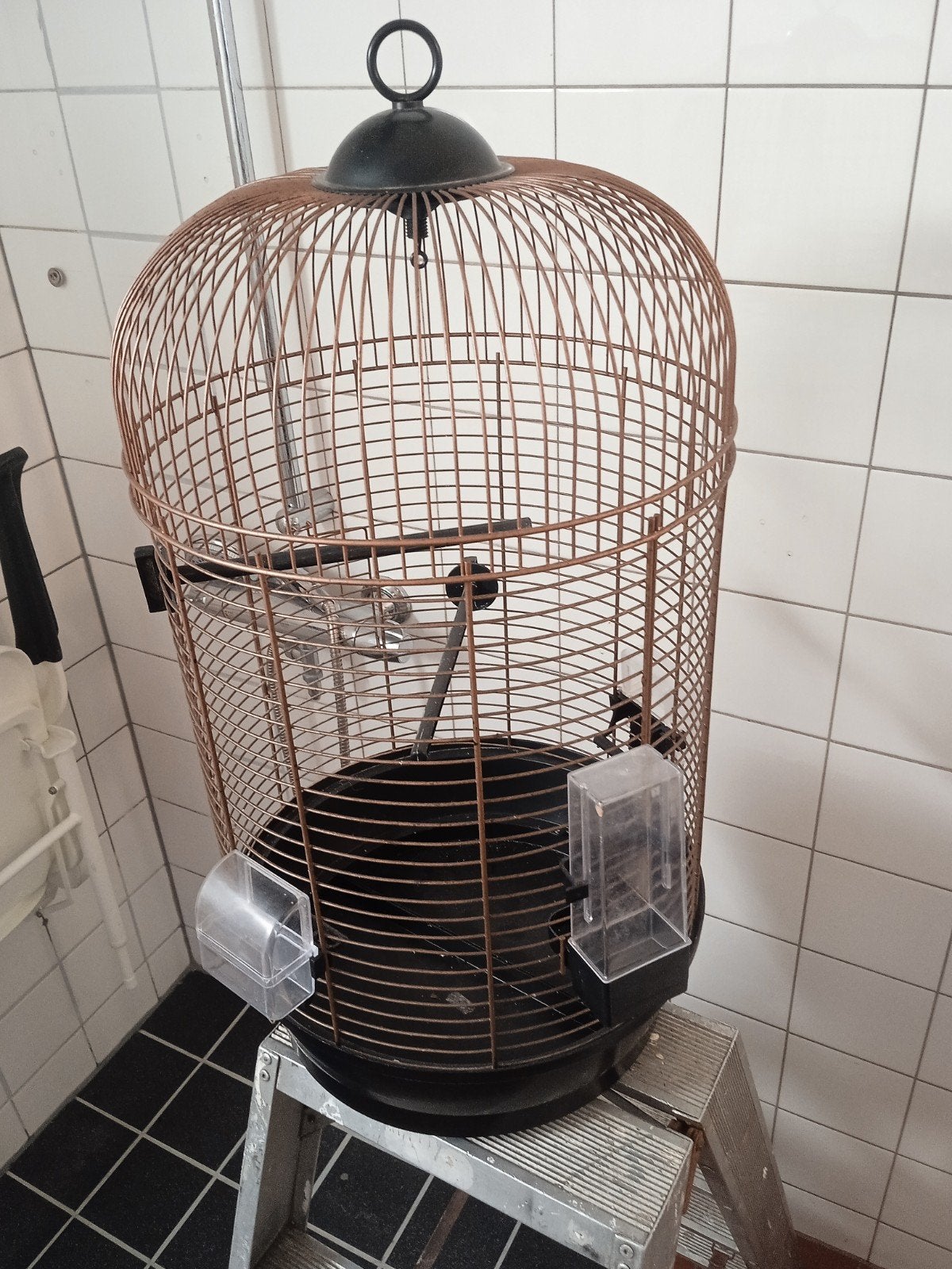 vogelkooi, Dieren en Toebehoren, Vogels | Hokken en Kooien, Ophalen, Zo goed als nieuw, Metaal, Vogelkooi