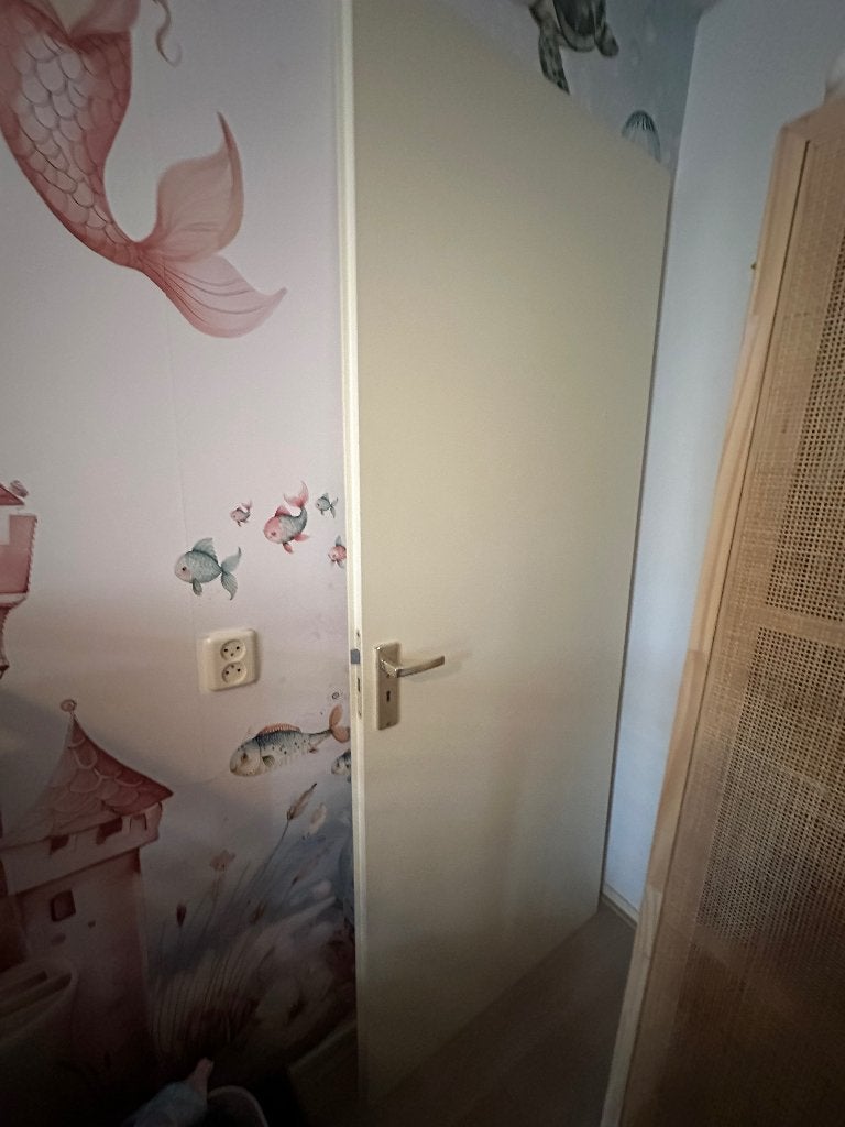 Binnendeuren, Huis en Inrichting, Overige Huis en Inrichting, Ophalen, Gebruikt