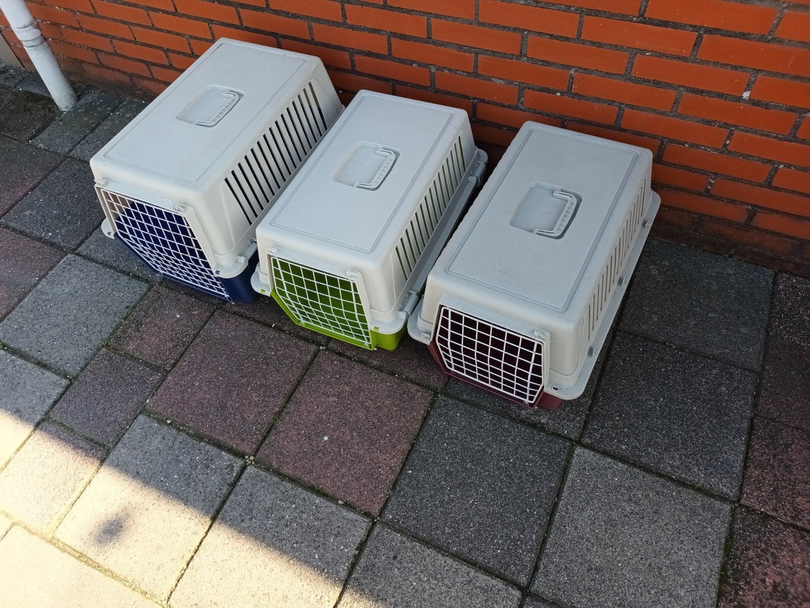 transportboxen voor huisdieren, Dieren en Toebehoren, Ophalen, Zo goed als nieuw