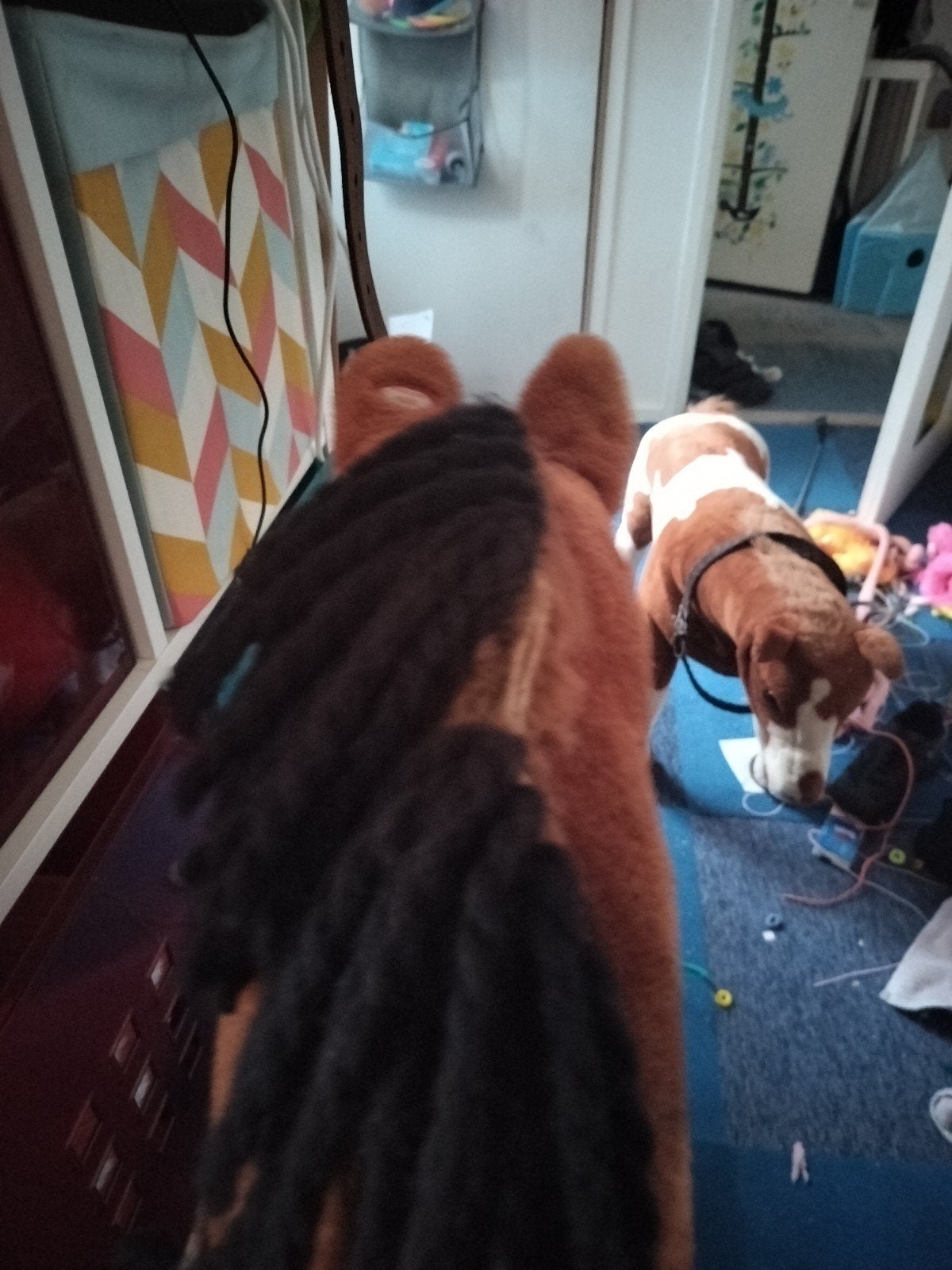 Hobbyhorse met zelfgemaakte manen, Ophalen, Jongen of Meisje