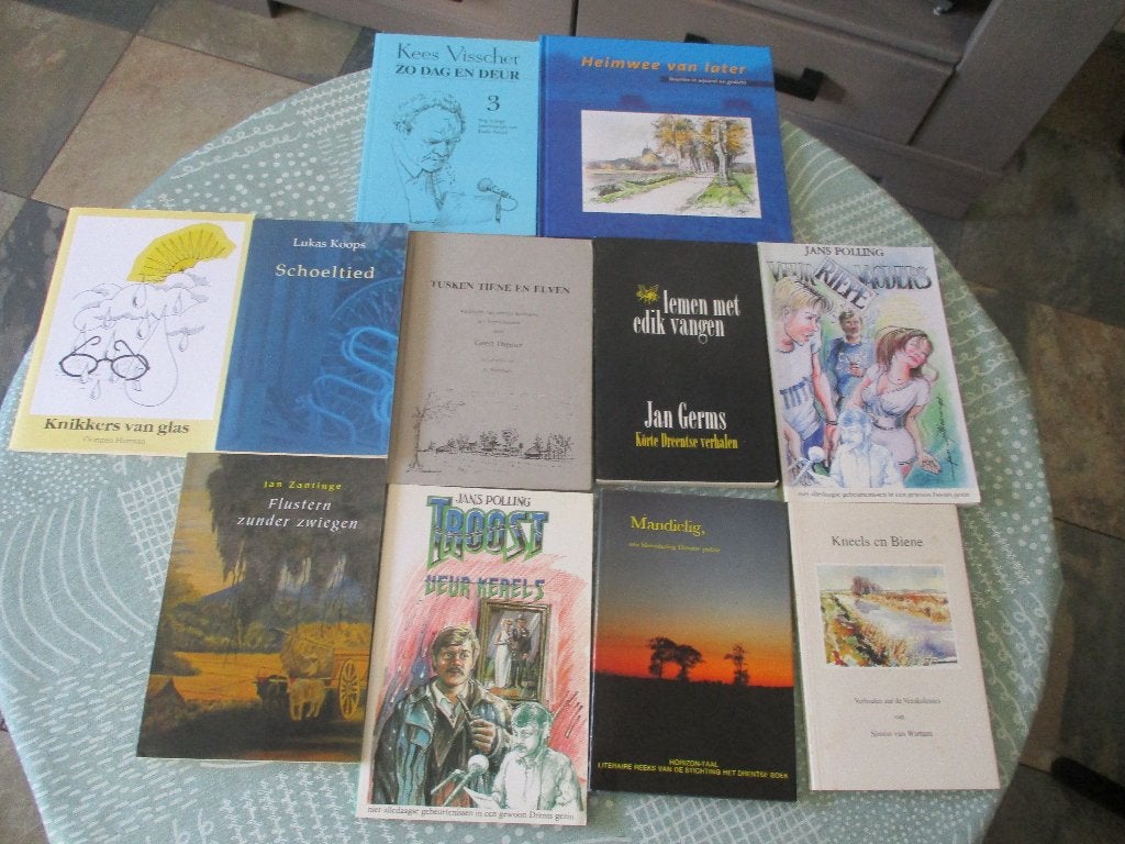 Drentse boeken, streektaal en kinderboeken, Boeken, Ophalen of Verzenden, Gelezen, Diverse Drentse auteurs