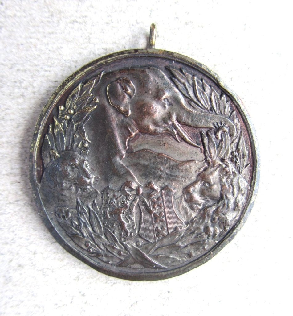 Penning 1888 Amsterdam, 50-jarig bestaan ARTIS Brons, Ophalen of Verzenden, Brons, Nederland