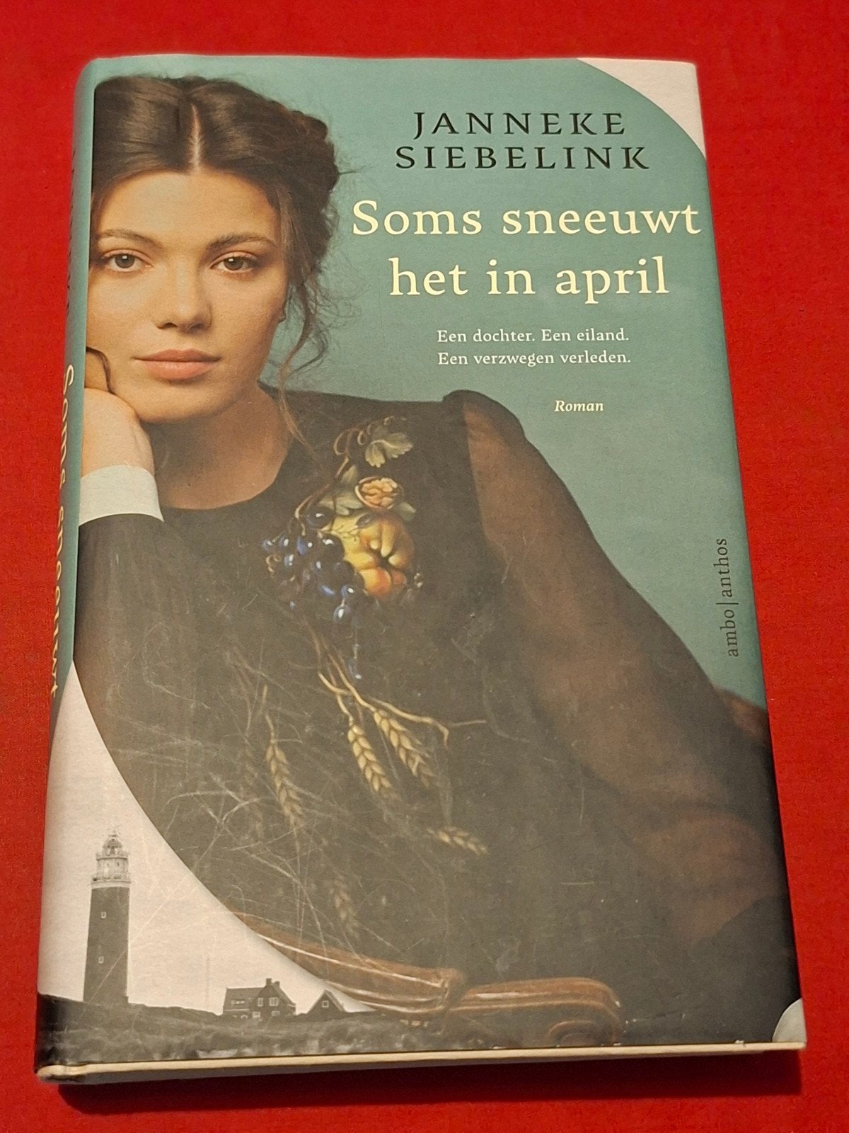 GESIGNEERD Soms sneeuwt het in april. Janneke Siebelink., Ophalen of Verzenden, Gelezen
