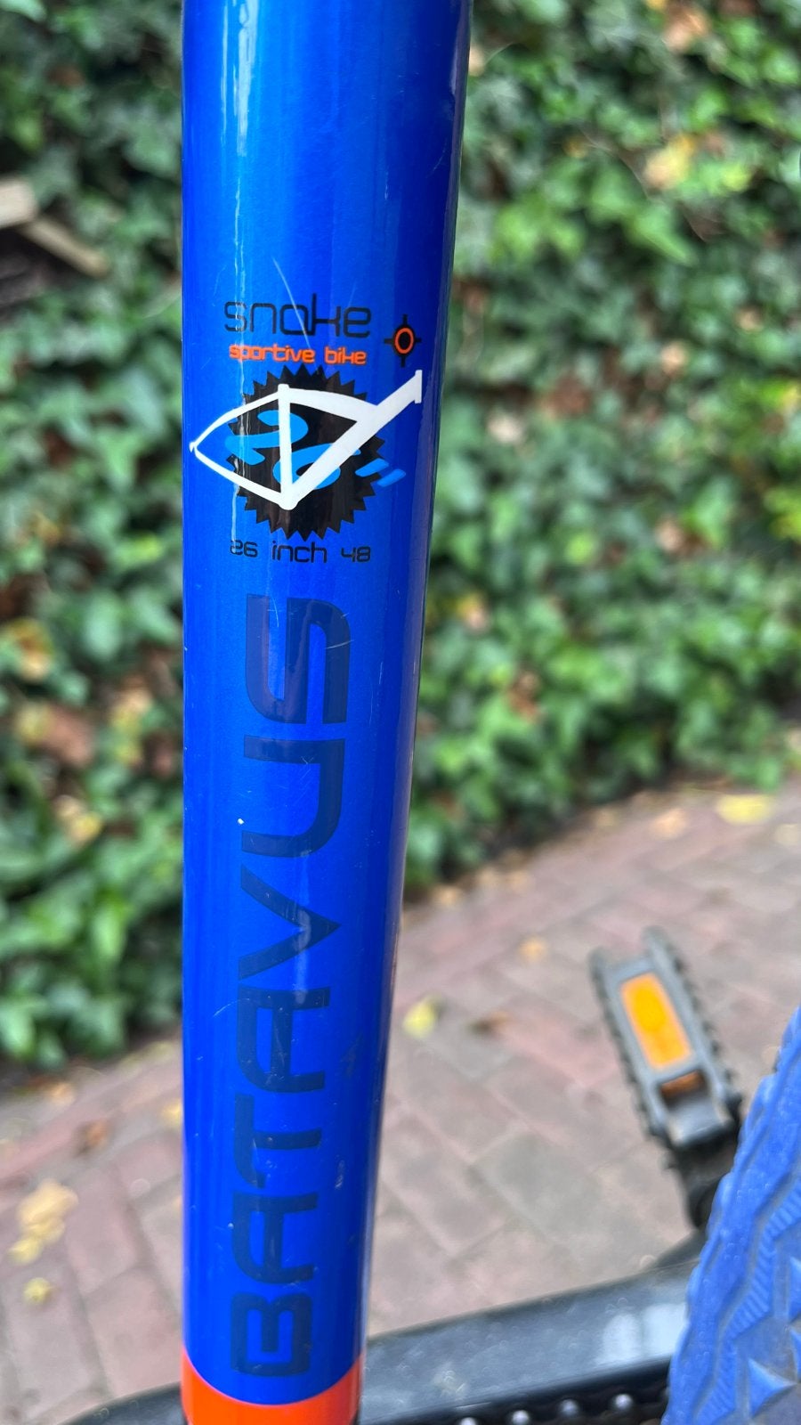 Batavus Snake Sportieve Fiets 26 inch 48 cm, Terugtraprem, Gebruikt, Versnellingen, Ophalen