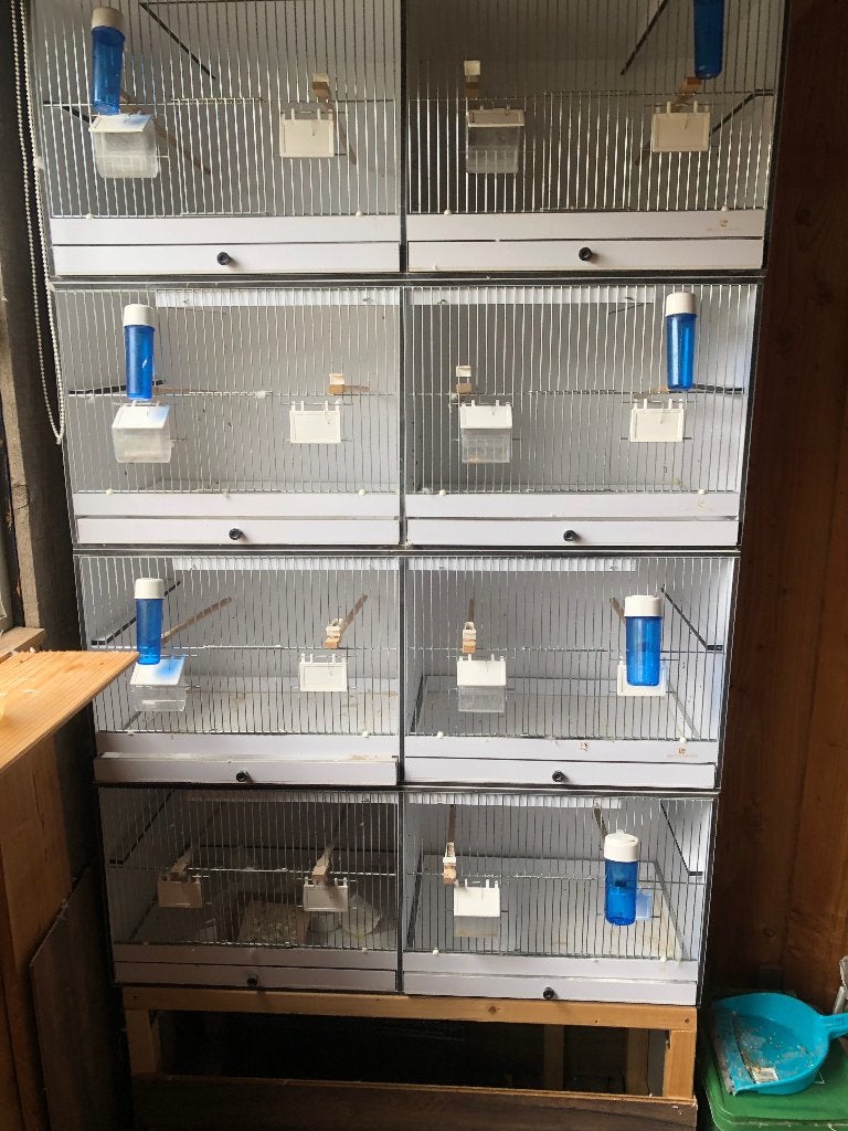 Broedkooien, Dieren en Toebehoren, Ophalen of Verzenden, Zo goed als nieuw, Kunststof, Broedkooi of Kweekkooi