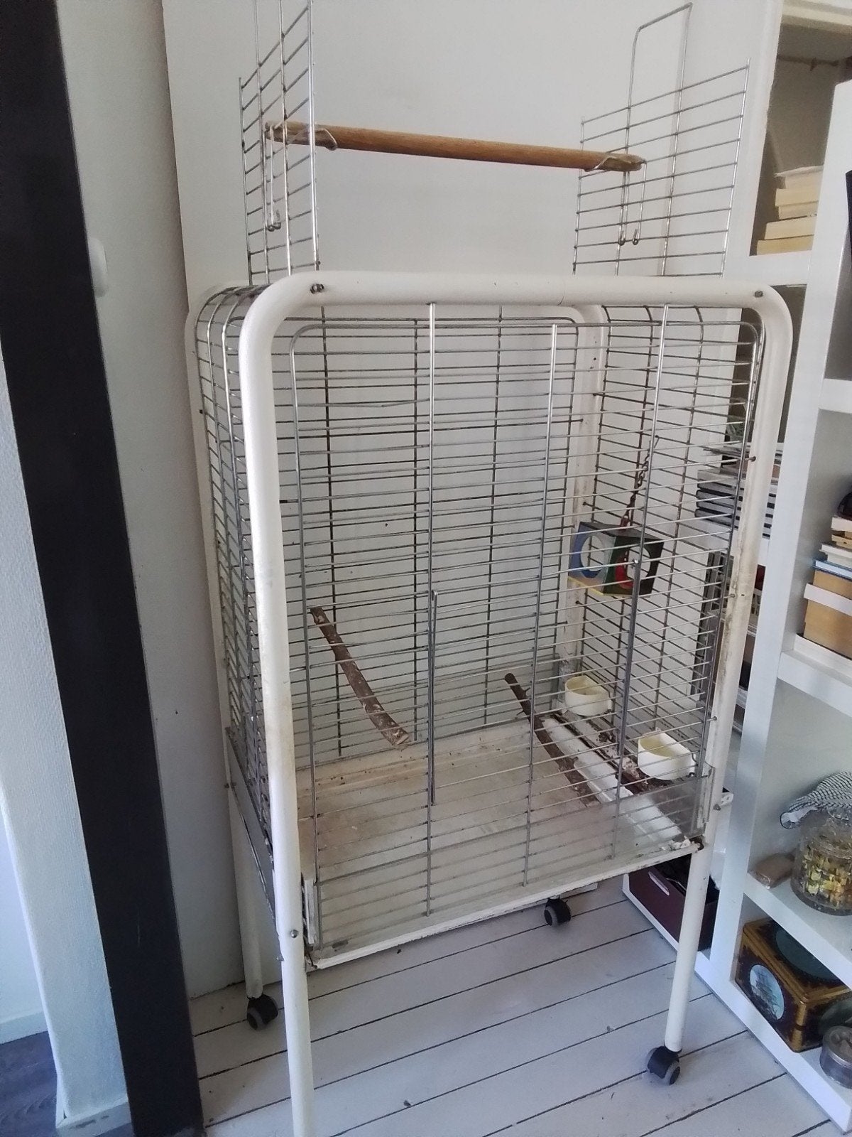 Kooi papegaai, Ophalen of Verzenden, Metaal, Vogelkooi