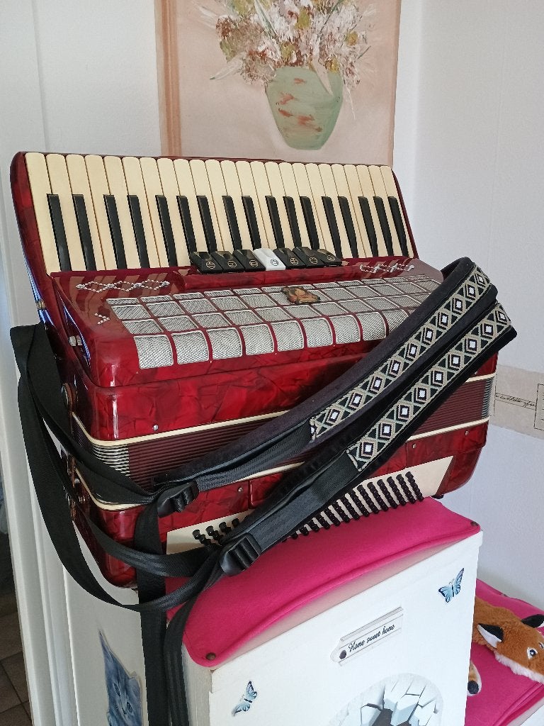 Parrot accordeon in topstaat met nieuwe riemen en koffer, Muziek en Instrumenten, Gebruikt, Met koffer, Toetsaccordeon, 120-bas