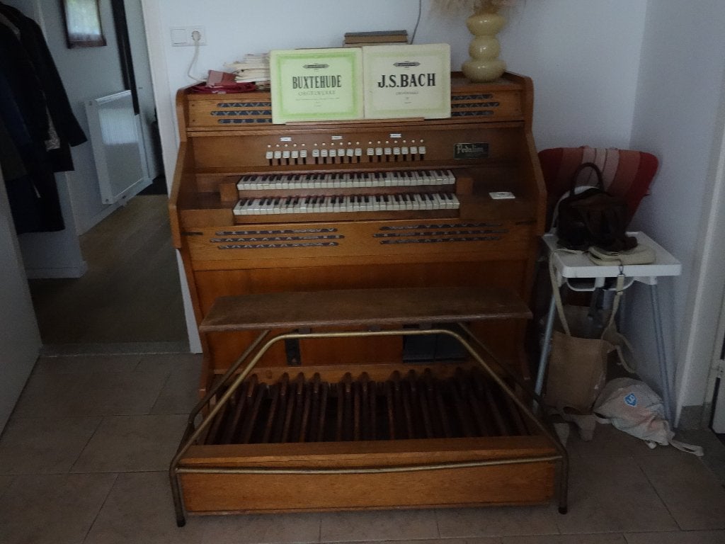 Pedalion, Muziek en Instrumenten, Orgels, Gebruikt, Orgel, 2 klavieren, Ophalen of Verzenden