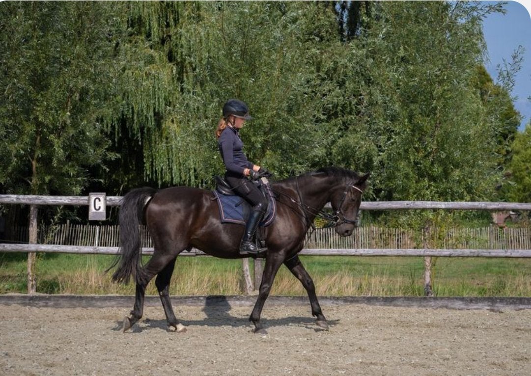 Ervaren amazone, Ophalen of Verzenden