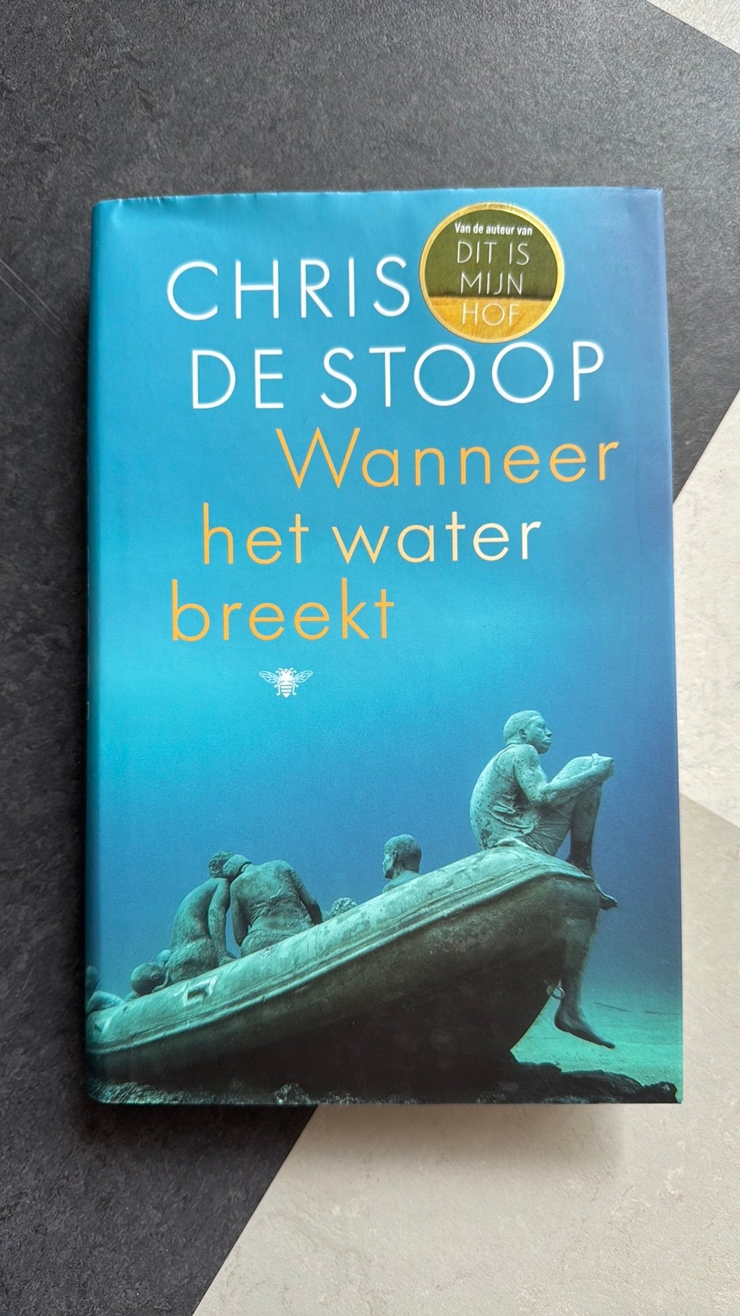 Chris de Stoop - Wanneer het water breekt, Ophalen of Verzenden, Chris de Stoop