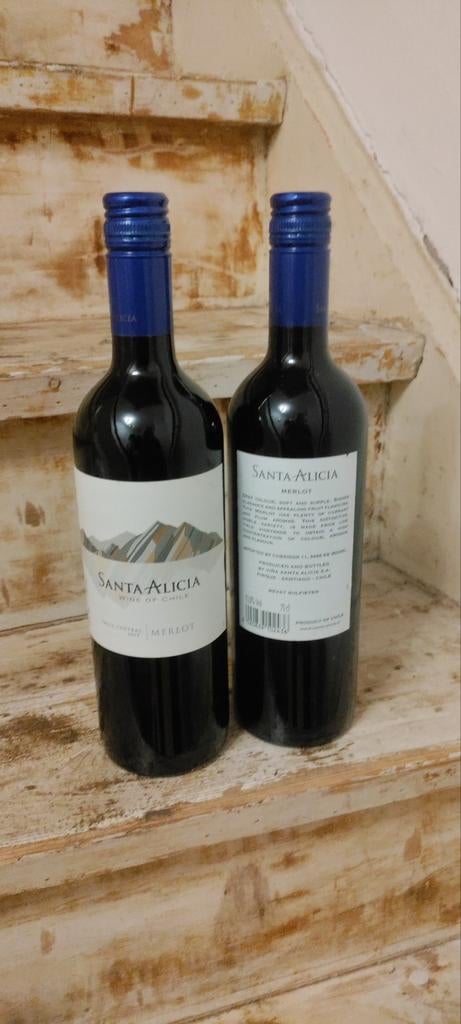 Santa Alicia Merlot Wijn uit Chili, Nieuw, Ophalen of Verzenden, Zuid-Amerika, Rode wijn