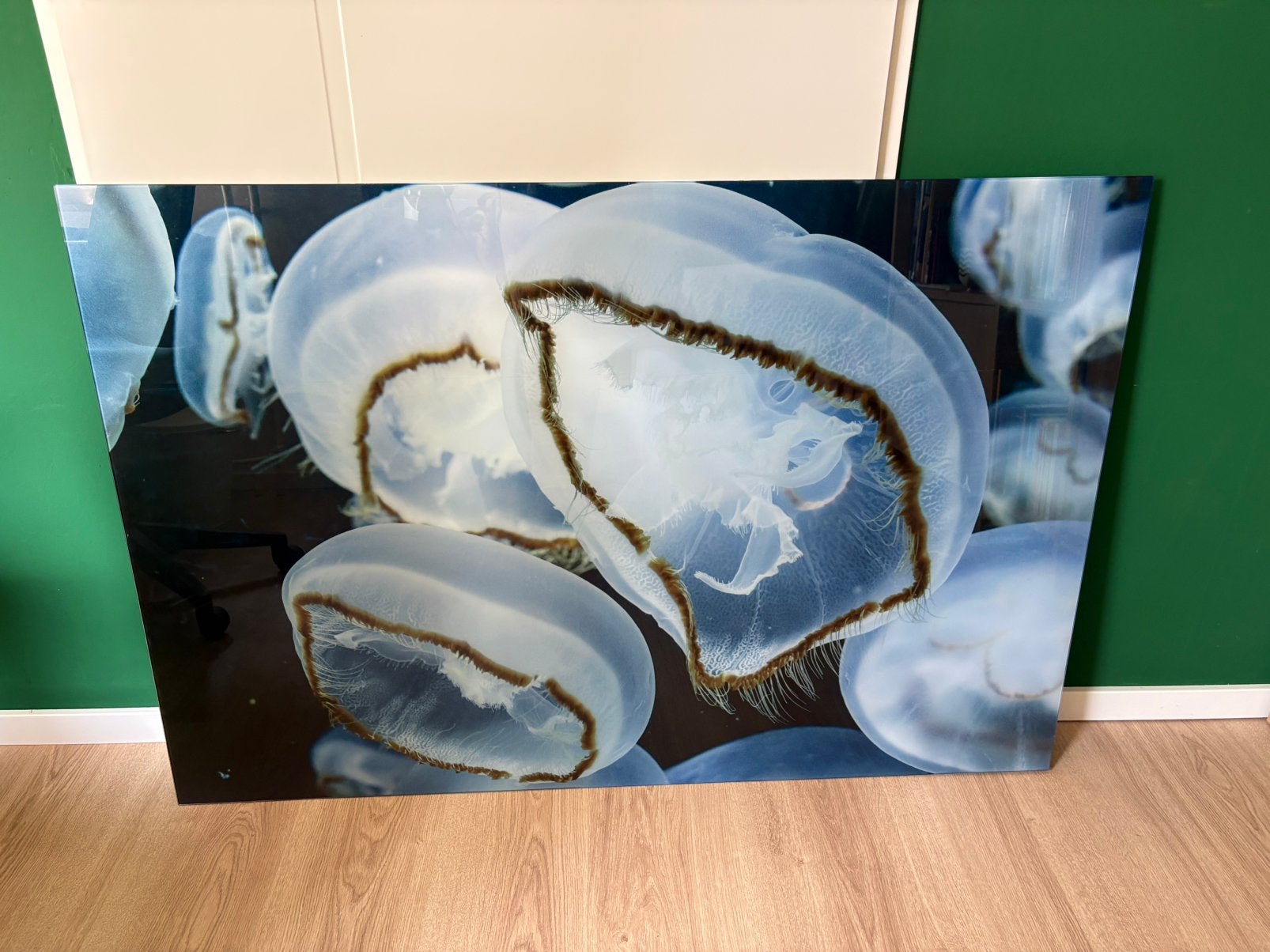 Schilderij plexiglas kwallen, Ophalen