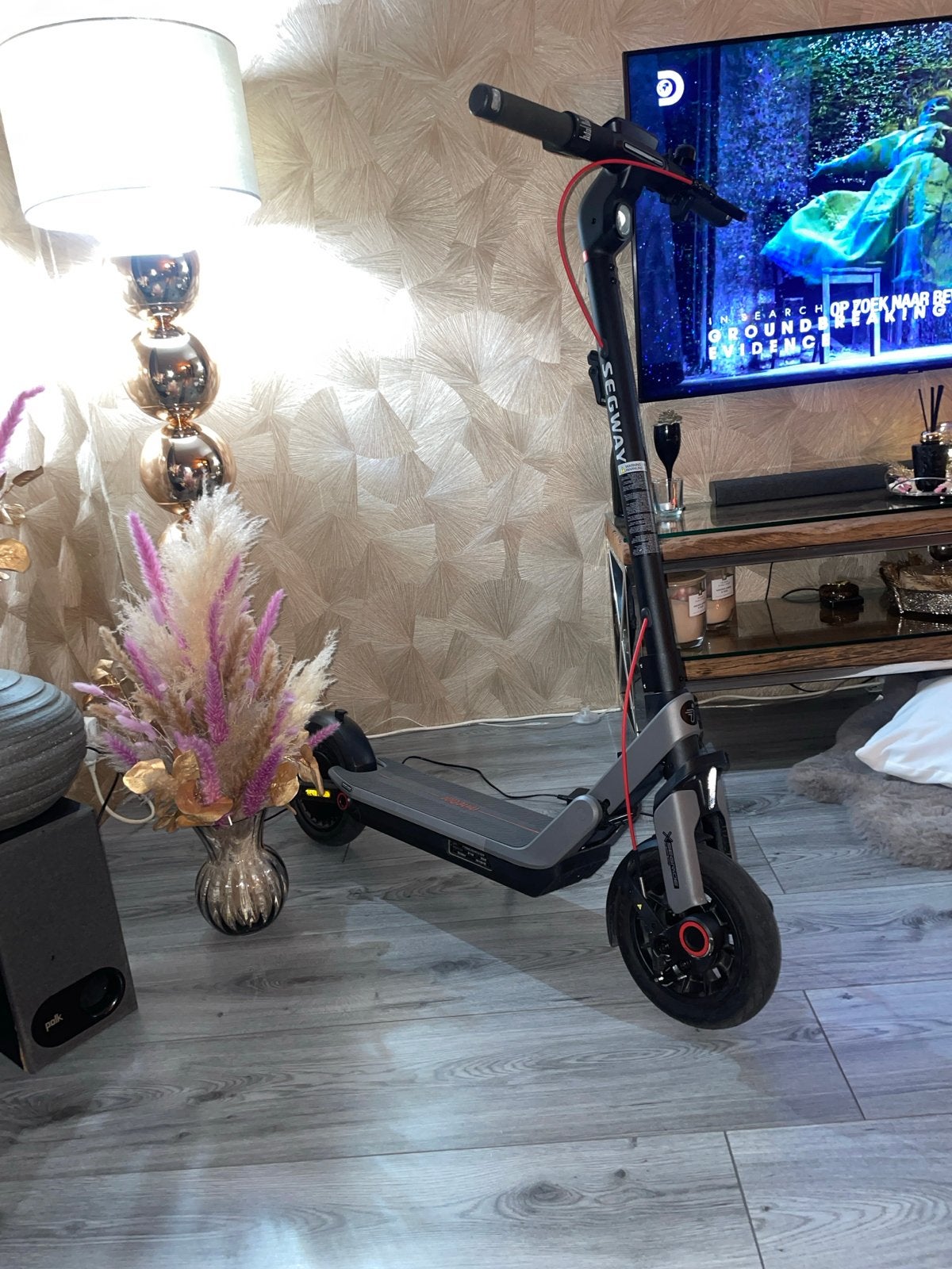 Segway Ninebot elektrische step - Zo goed als nieuw, Ophalen of Verzenden, Zo goed als nieuw, Elektrische step (E-scooter)