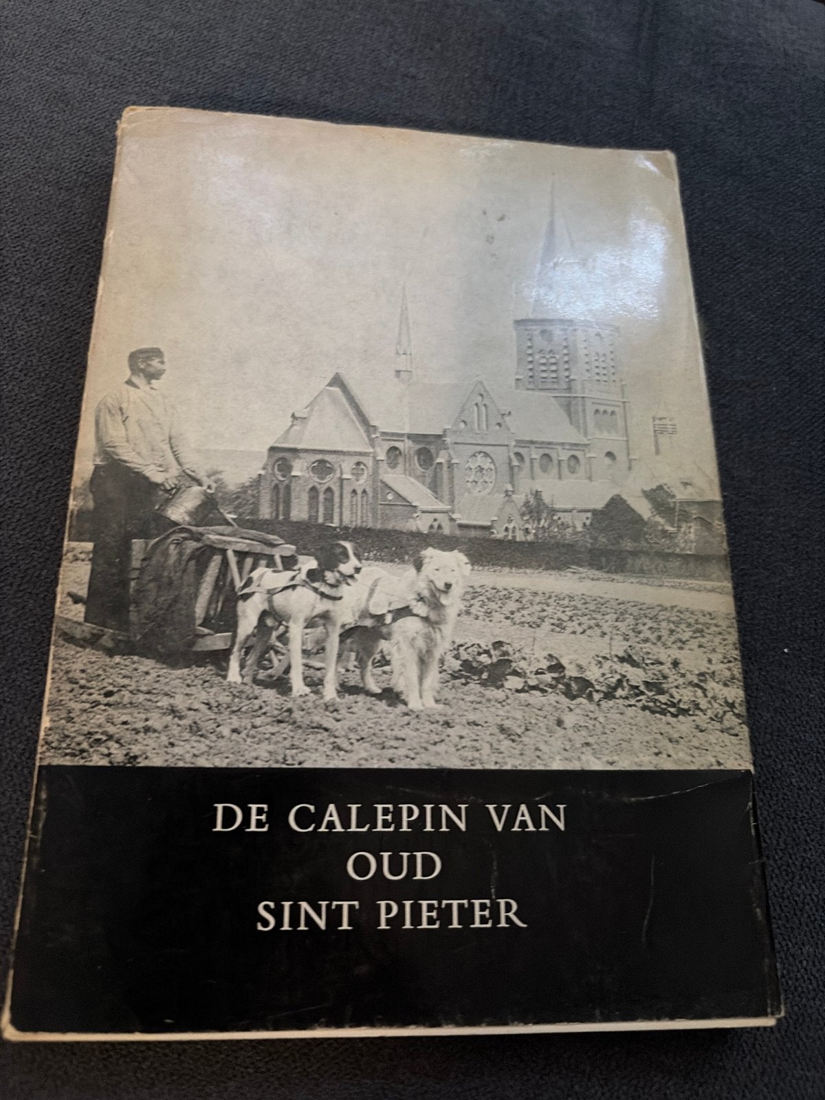 De Calepin van Oud Sint Pieter - Historisch Boek, Ophalen of Verzenden, 20e eeuw of later, Gelezen