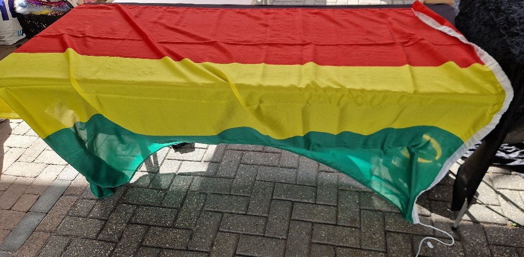 VLAG Carnaval Rood/Geel/Groen GROOT, Ophalen of Verzenden, Zo goed als nieuw, Versiering, Carnaval