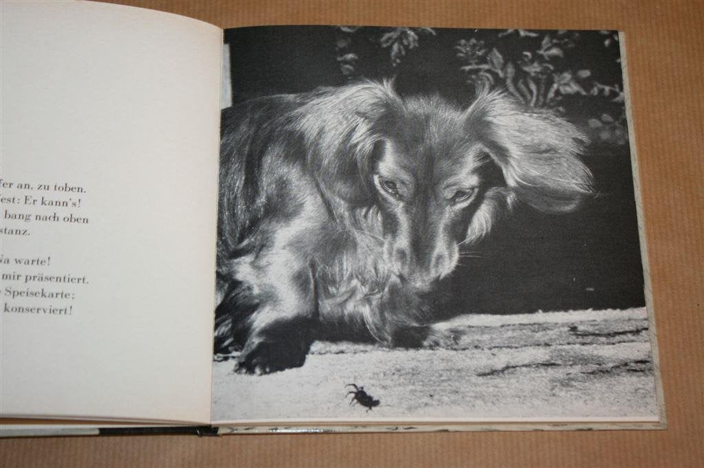 Dackel-Streiche. Boek over Teckels, veel foto\'s., Ophalen of Verzenden, Gelezen, Honden