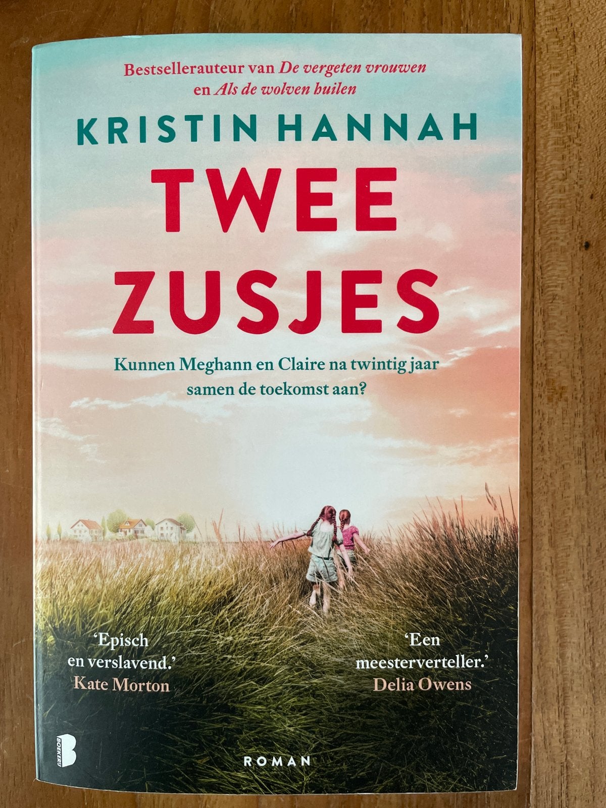 Twee Zusjes - Kristin Hannah (Roman), Boeken, Romans, Ophalen of Verzenden, Zo goed als nieuw, Nederland