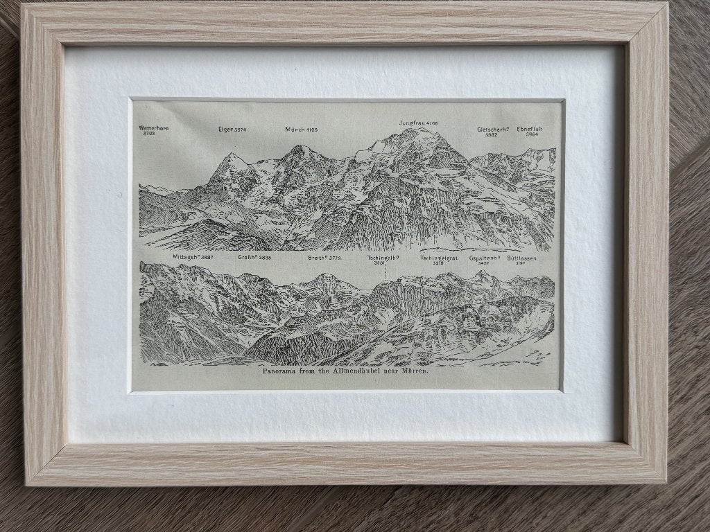 100+ Panorama vom Murren - Jungfrau - Eiger P0654-13, Antiek en Kunst, Ophalen of Verzenden, Gravure, 1900 - 1949