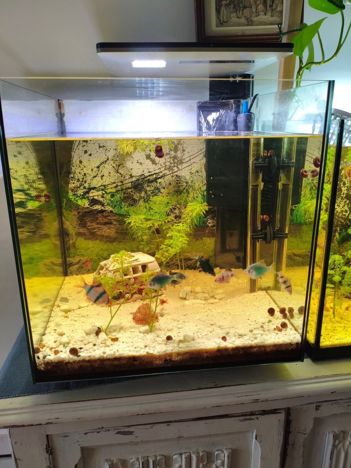 Nano tank, Ophalen