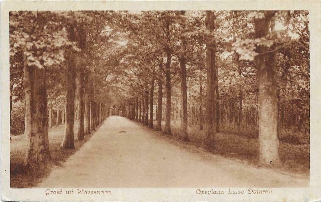 AK Wassenaar - Oprijlaan huize Duinrell, Verzenden, 1920 tot 1940, Ongelopen, Zuid-Holland