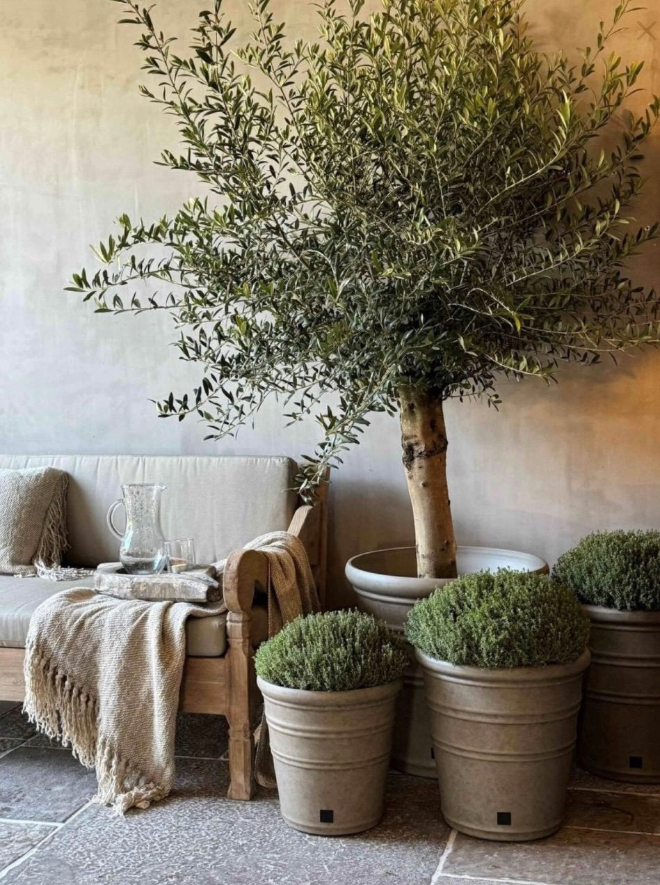 Set buitenpotten Aura  Peeperkorn, Tuin en Terras, Ophalen, Nieuw, Rond, Tuin