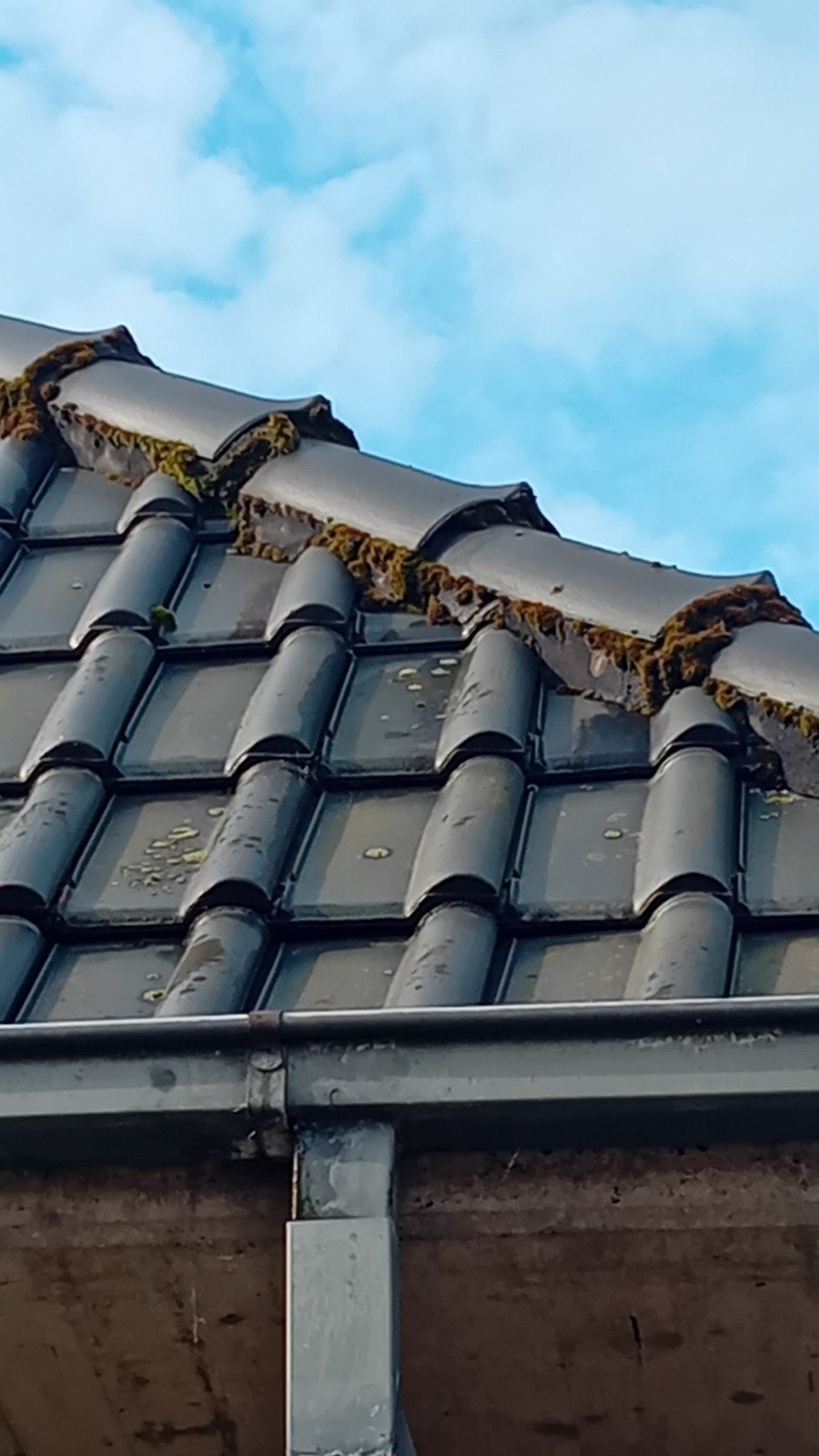 Gezocht: Meyer Holsen nok dakpan 40cm lang, Doe-het-zelf en Verbouw, Ophalen of Verzenden