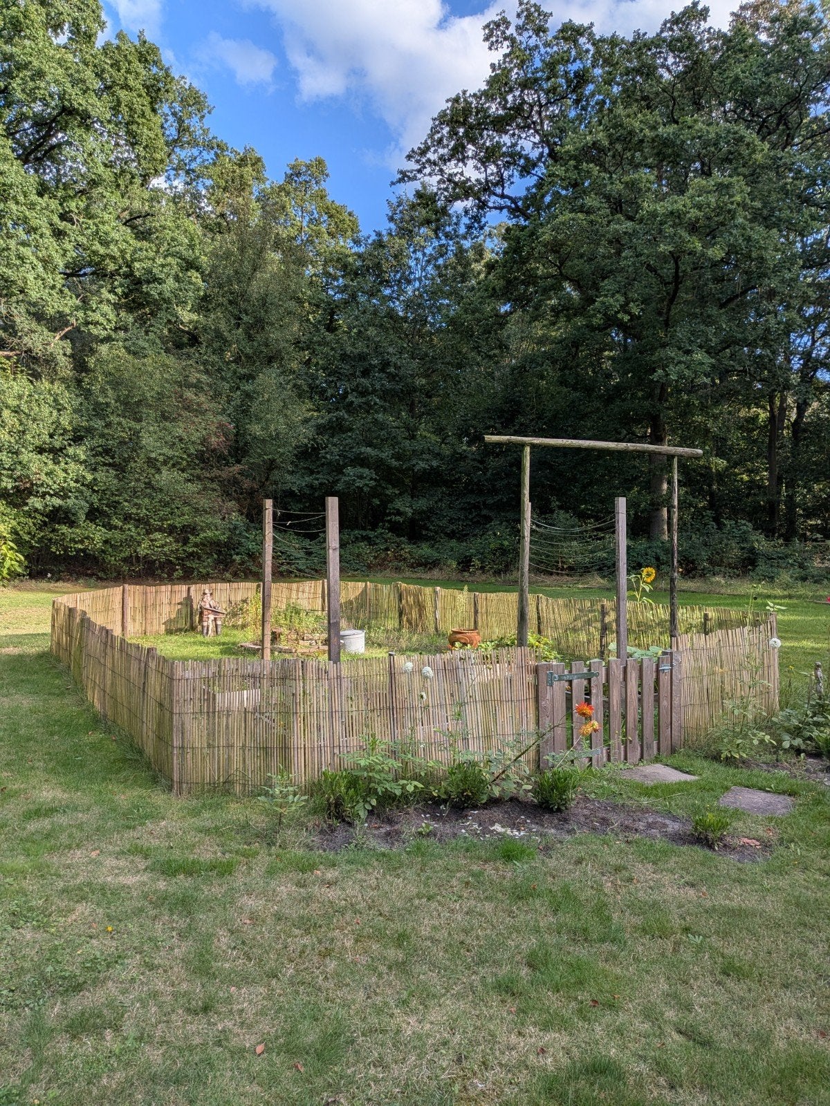 Moestuin omheining hek en evt bakken, Ophalen, Halfschaduw, Overige soorten, 100 tot 250 cm