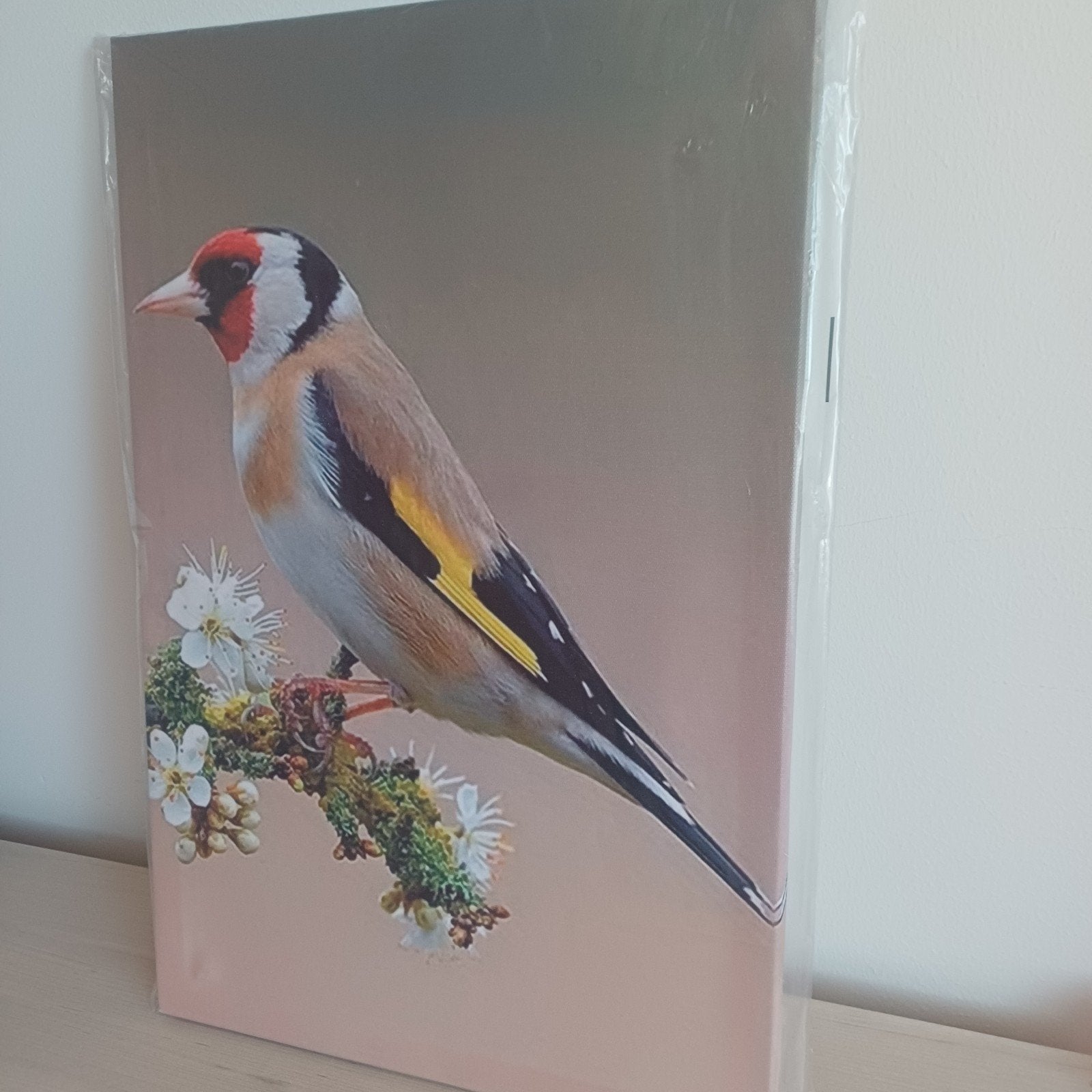 Putter Distelvink Canvas Schilderij - Nieuw, Dieren en Toebehoren
