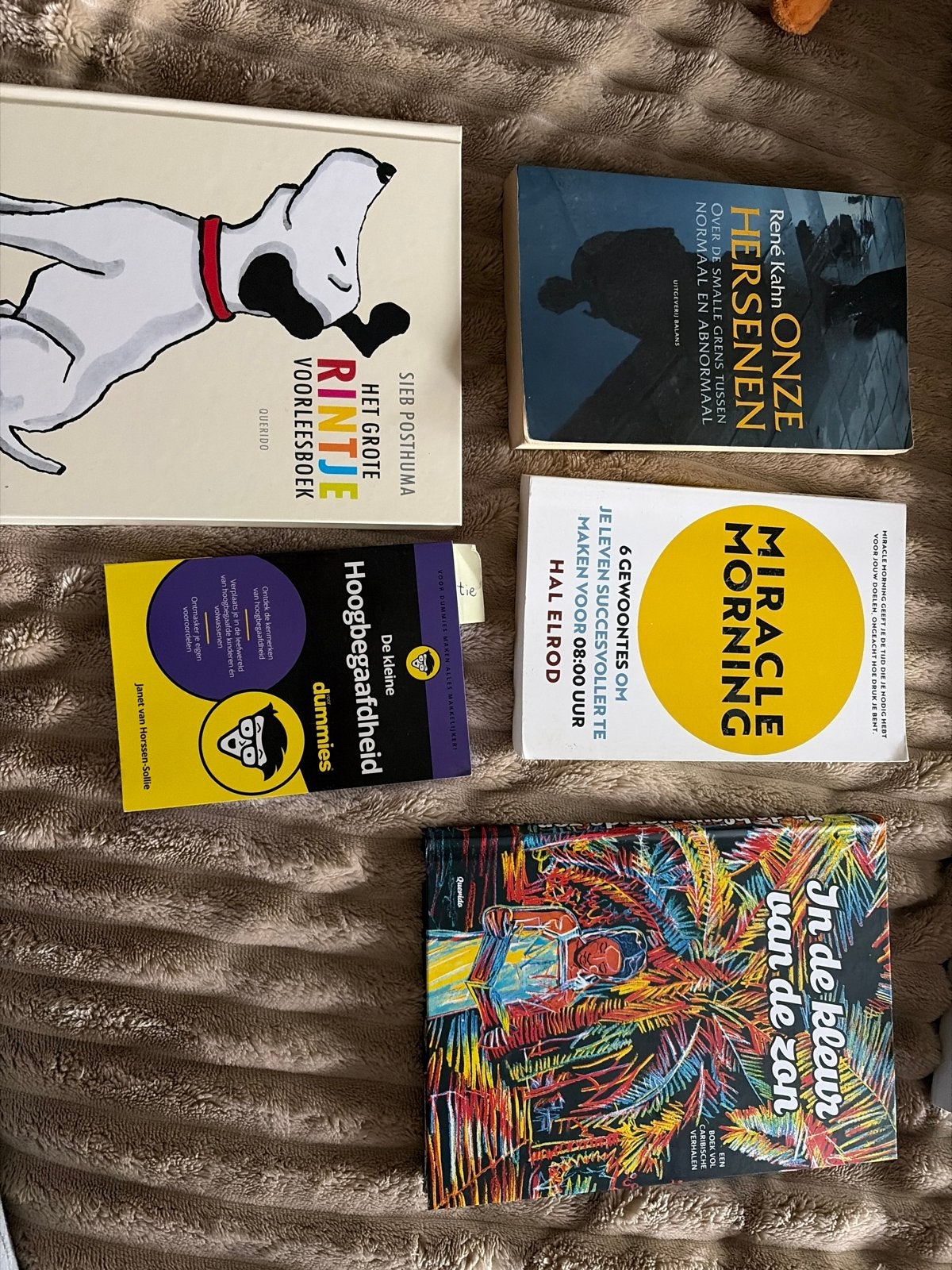 Diverse boeken: kinderboek, zelfhulp, psychologie, dummies, Ophalen of Verzenden, Gelezen