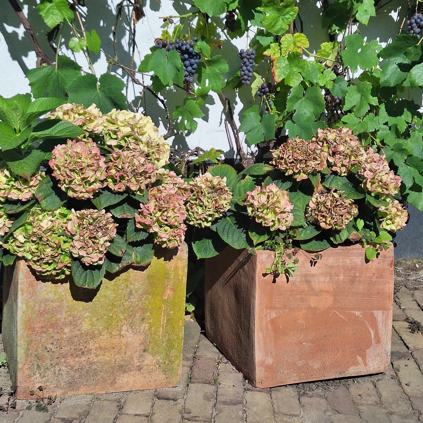 2 Terracotta potten - Vierkant, Gebruikt, Vierkant, Minder dan 40 cm, Terracotta