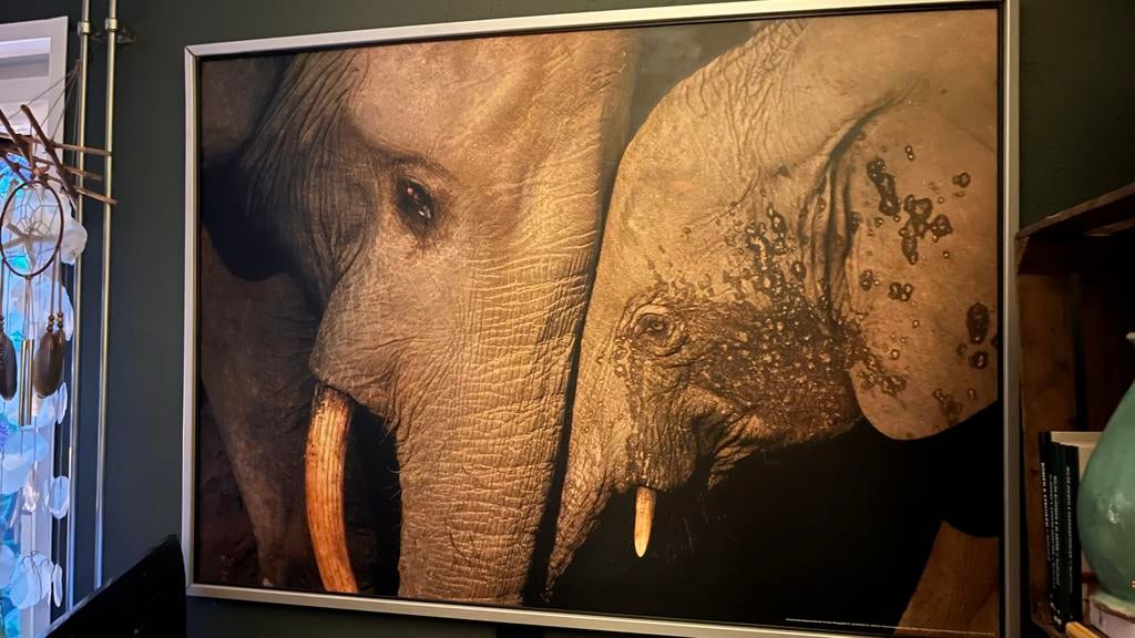 A female elephant bonds with her baby (National Geographic), Huis en Inrichting, Ophalen of Verzenden, Zo goed als nieuw, 100 tot 125 cm