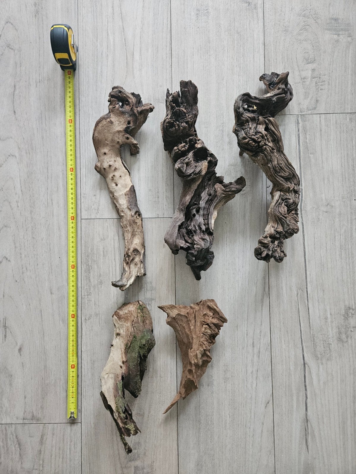 Drijfhout - terrarium/paludarium, Ophalen, Plant(en), Steen of Hout
