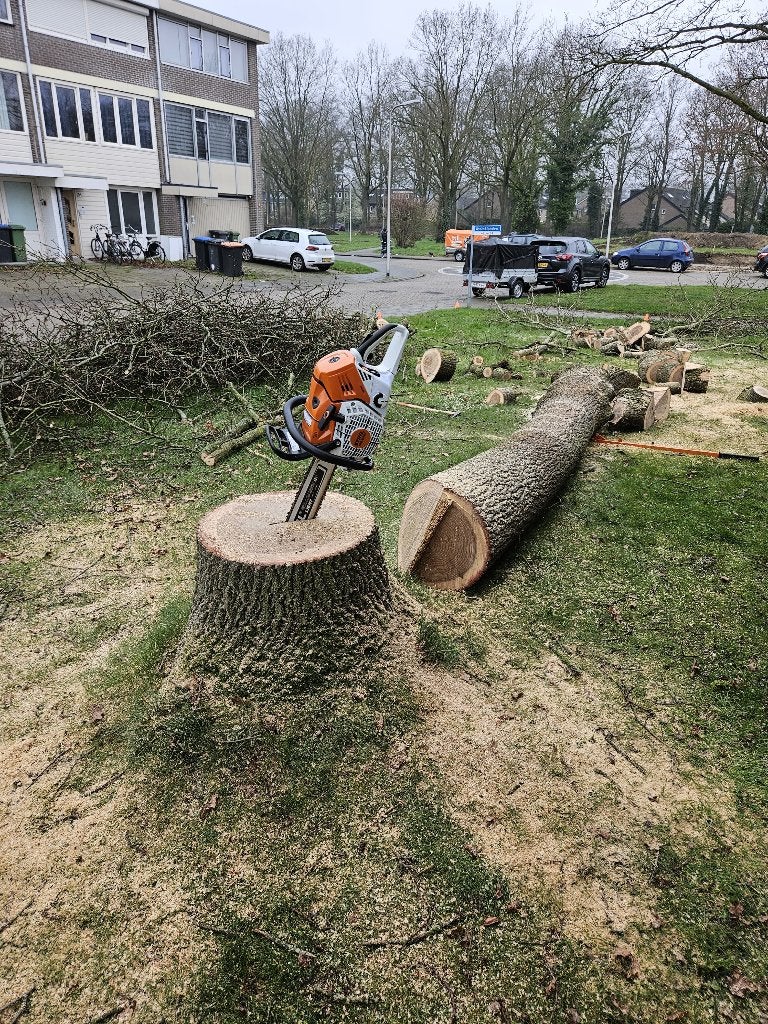 Kettingzaag / heggenschaar machinaal slijpen., Doe-het-zelf en Verbouw, Kettingzaag, Ophalen of Verzenden, Zo goed als nieuw, 30 tot 70 mm