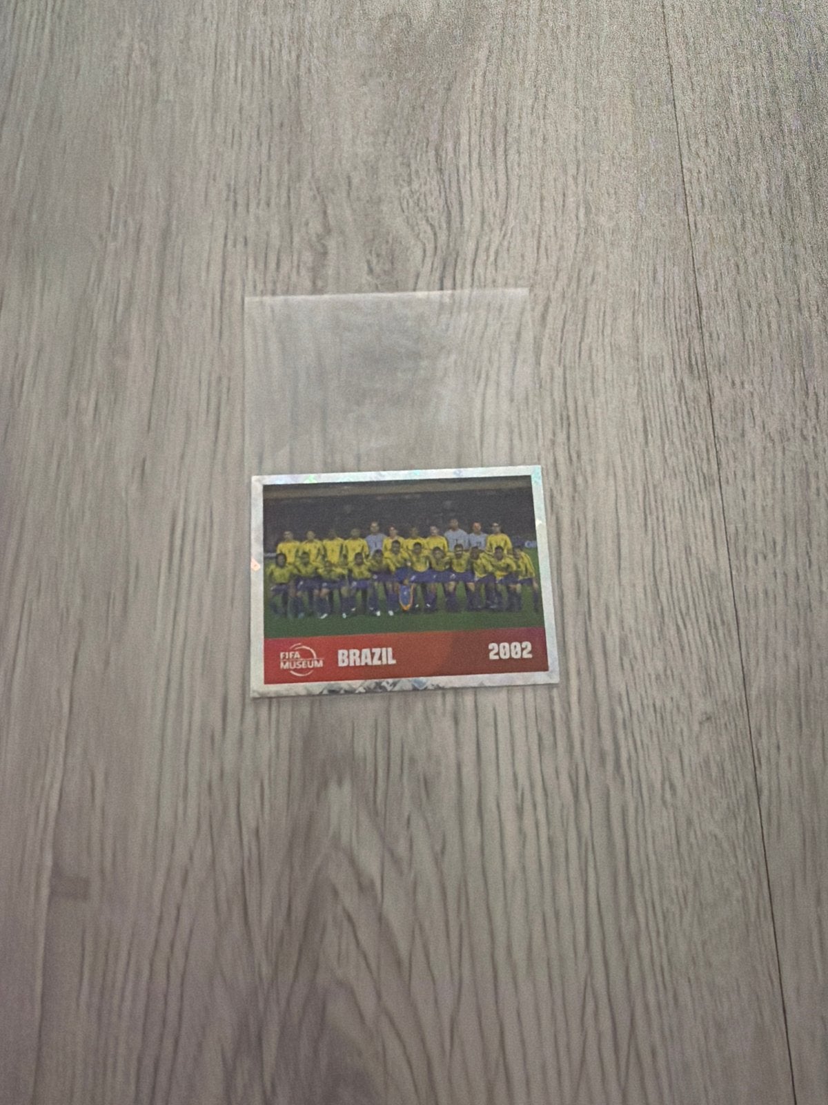 Panini FIFA World Cup 2002 Brazil Sticker, Ophalen, Nieuw