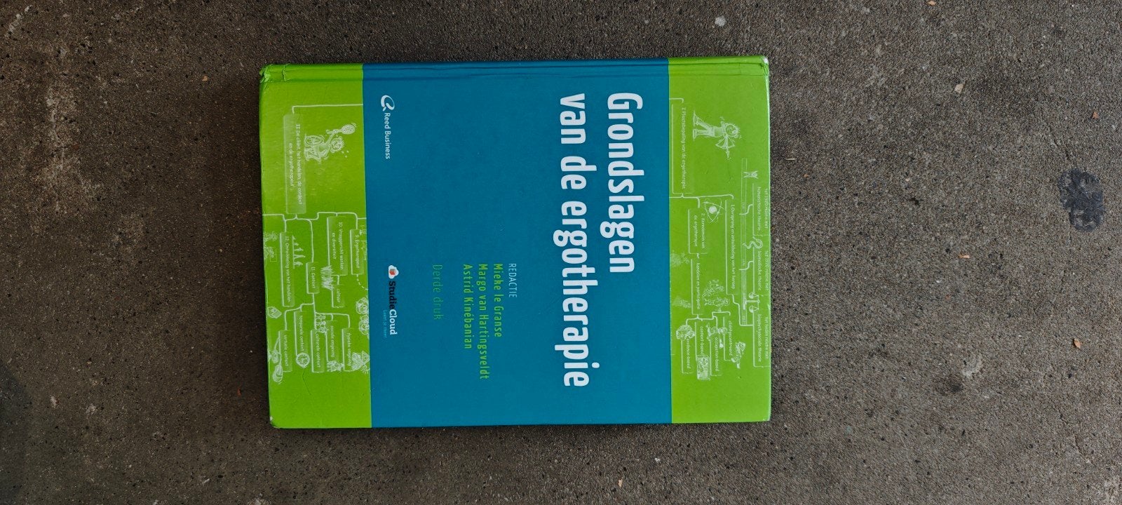 Grondslagen van de ergotherapie - Studieboek, Ophalen, HBO, Zo goed als nieuw, Nicke de Groot, Marije van Ratingen, Astrid Kleinbussink