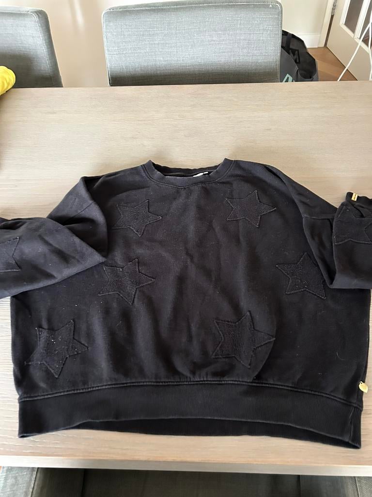 Trui maat M Fabienne chapot, Kleding | Dames, Truien en Vesten, Ophalen of Verzenden, Zo goed als nieuw, Maat 38/40 (M), Zwart