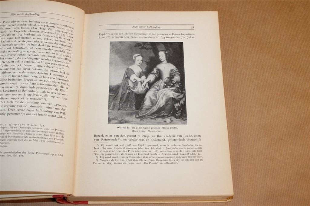 Prins Willem III — Stadhouder-Koning Deel 1 — Japikse 1930, Boeken, Geschiedenis | Vaderland, Ophalen of Verzenden, Gelezen
