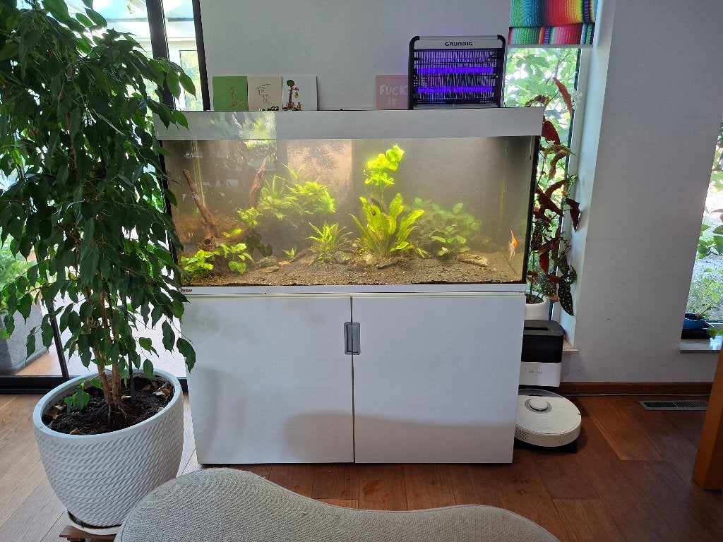 eheim aquarium inclusief inhoud en kast, Ophalen, Gevuld zeewateraquarium, Zo goed als nieuw, Inclusief vissen