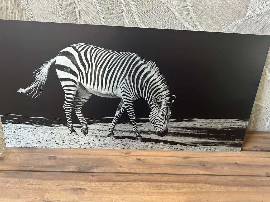Zebra schilderij aluminium, Ophalen, Zo goed als nieuw