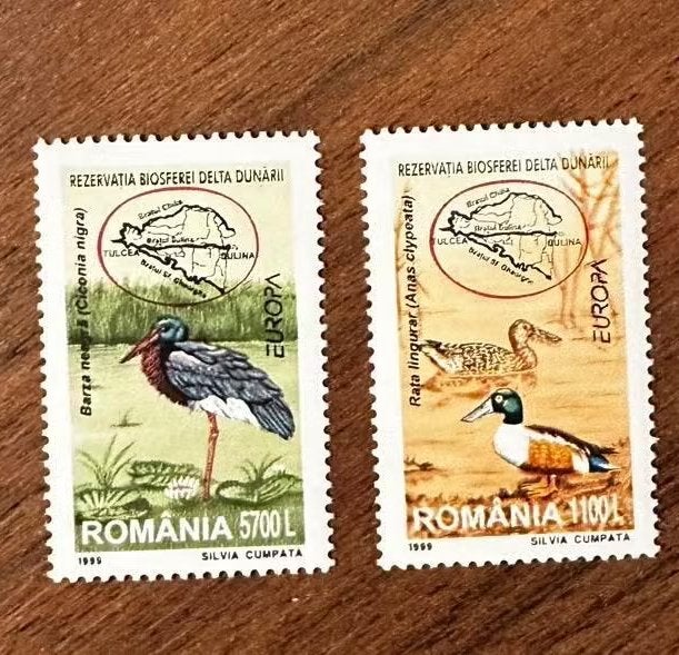 Roemenië 1999 Vogels Postfris - Zwarte Ooievaar & Lepelaar, Ophalen of Verzenden, Overige landen, Postfris