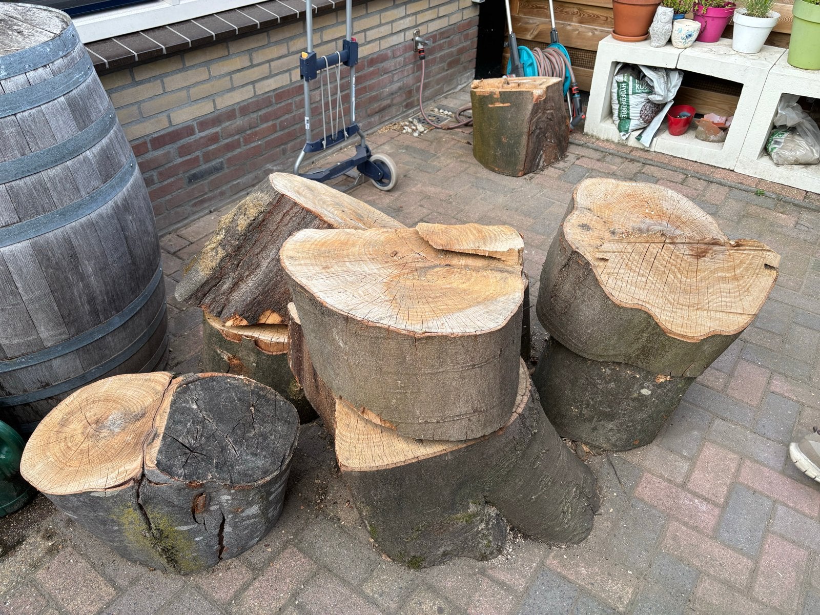 12 Grote beukenhouten boomstammen - Diameter 0,5-0,8 meter, 6 m³ of meer, Ophalen, Overige houtsoorten, Stammen