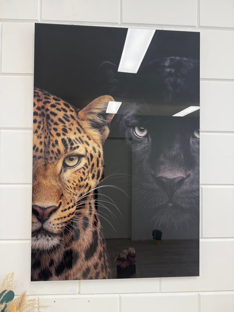 Prachtige Luipaard & Panter plexiglas schilderij, Ophalen of Verzenden