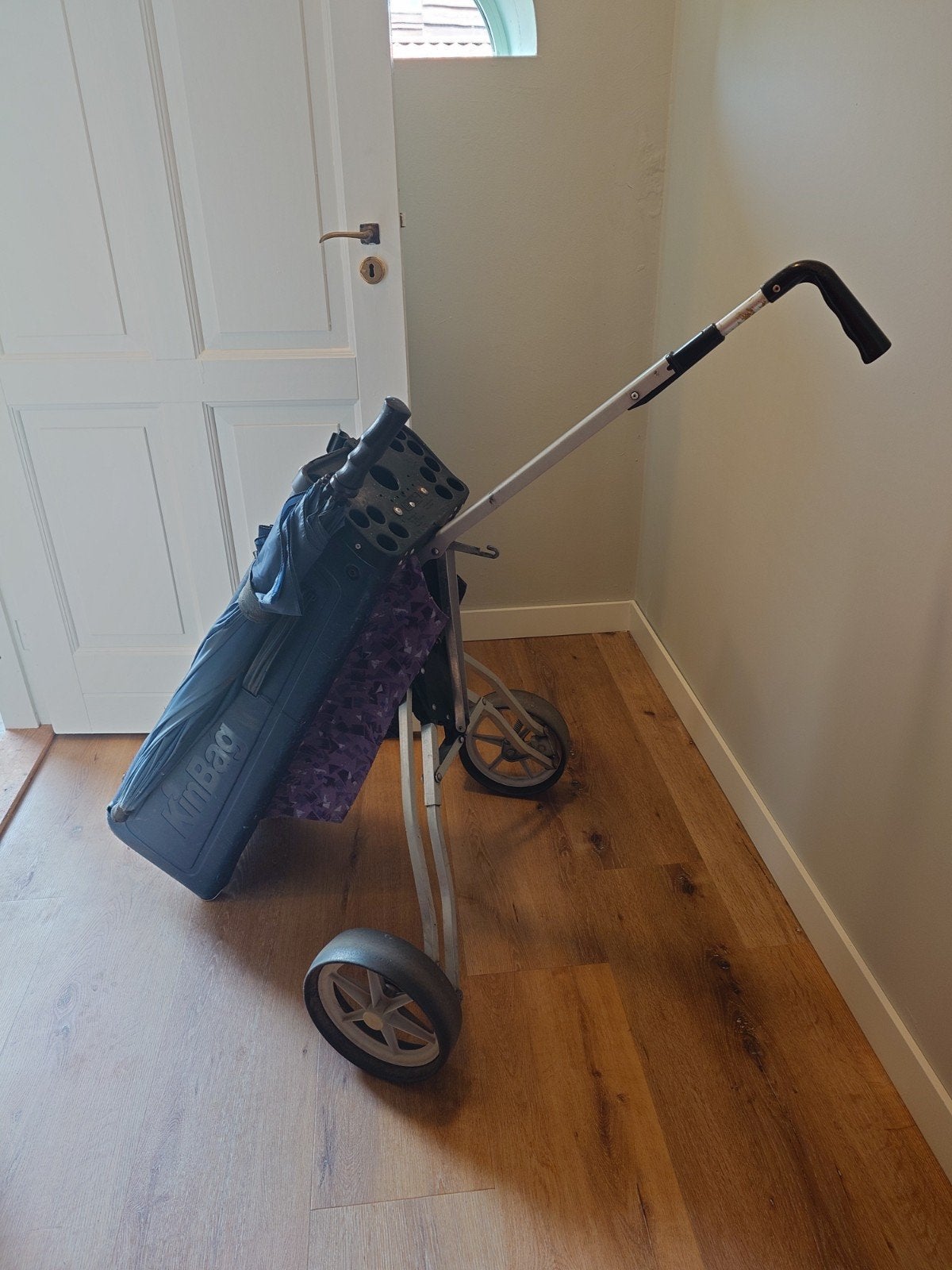 Golfkar met tas (én paraplu ), Ophalen, Gebruikt, Golfkar, Overige merken