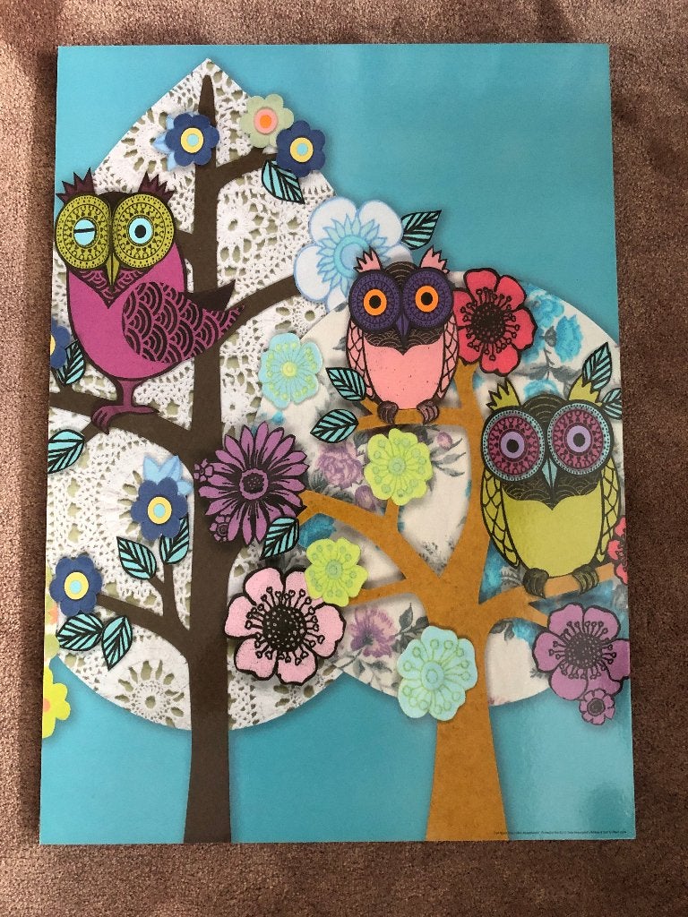 Ikea solmyra uil 50 x 70 cm, Ophalen, 50 tot 75 cm, Zo goed als nieuw, Schilderij