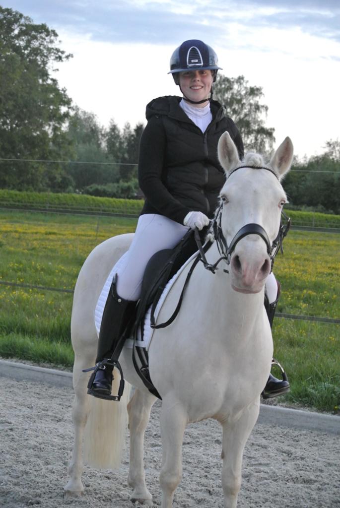 Voor Dizzy zijn wij op zoek naar een echt 5 sterren huisje., Dieren en Toebehoren, Pony's, Merrie